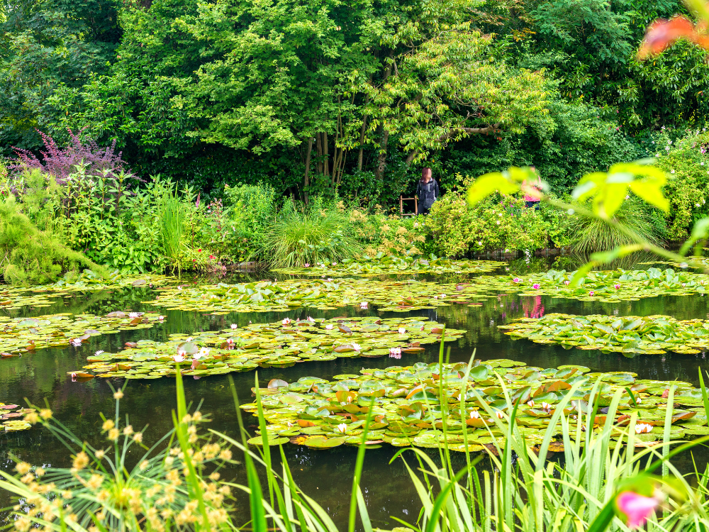 Progetto senza titolo (1)-4