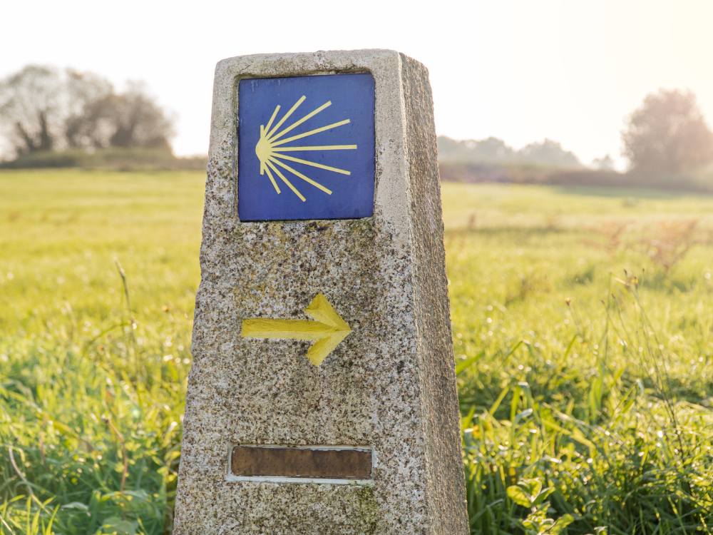 Progetto senza titolo-May-19-2022-09-05-40-99-AM