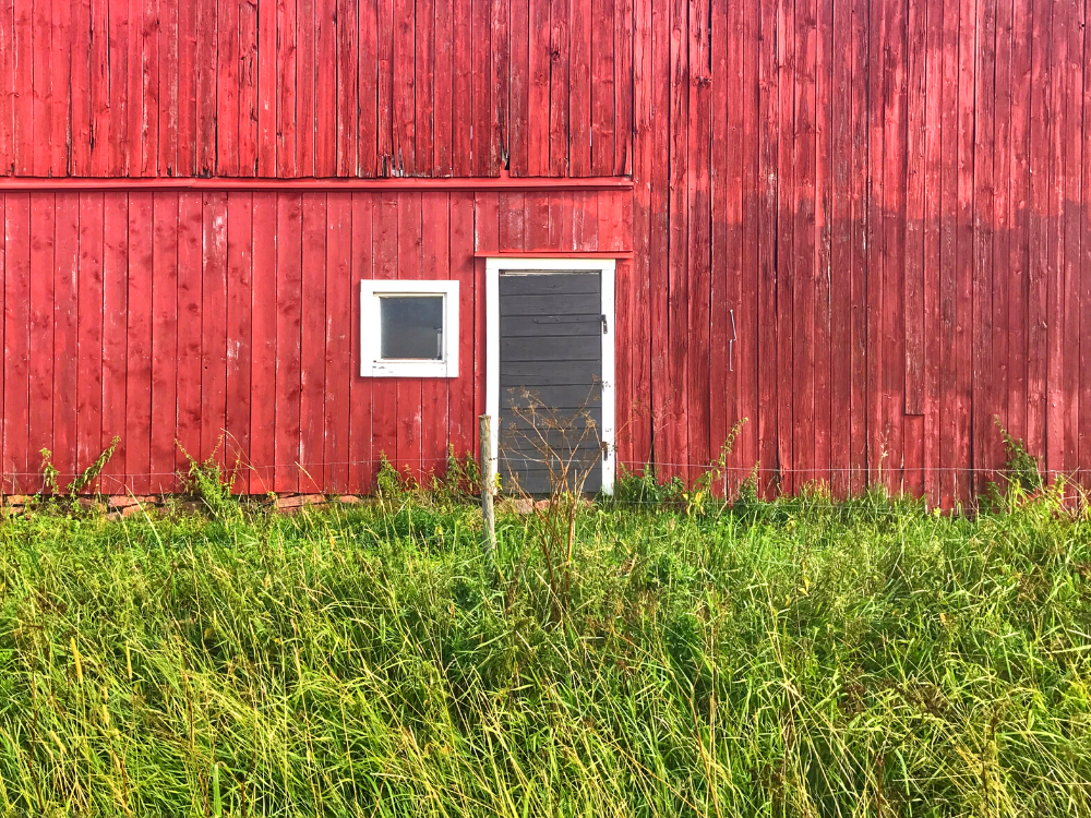 blog-ita-cinque-curiosità-finlandia-cyclando