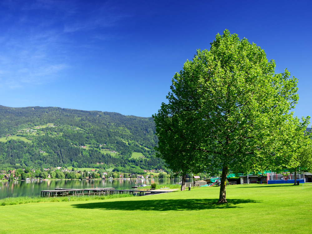 blog-ita-scoprire-la-carinzia-viaggio-in-austria-stock